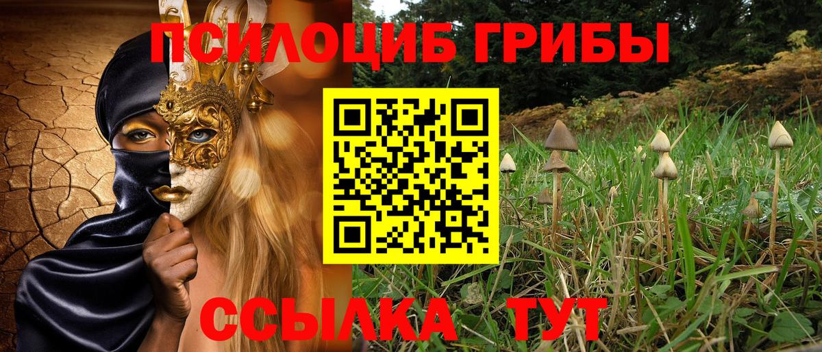Новодвинск  Псилоцибиновые грибы MAGIC MUSHROOMS  Вход с VPN 