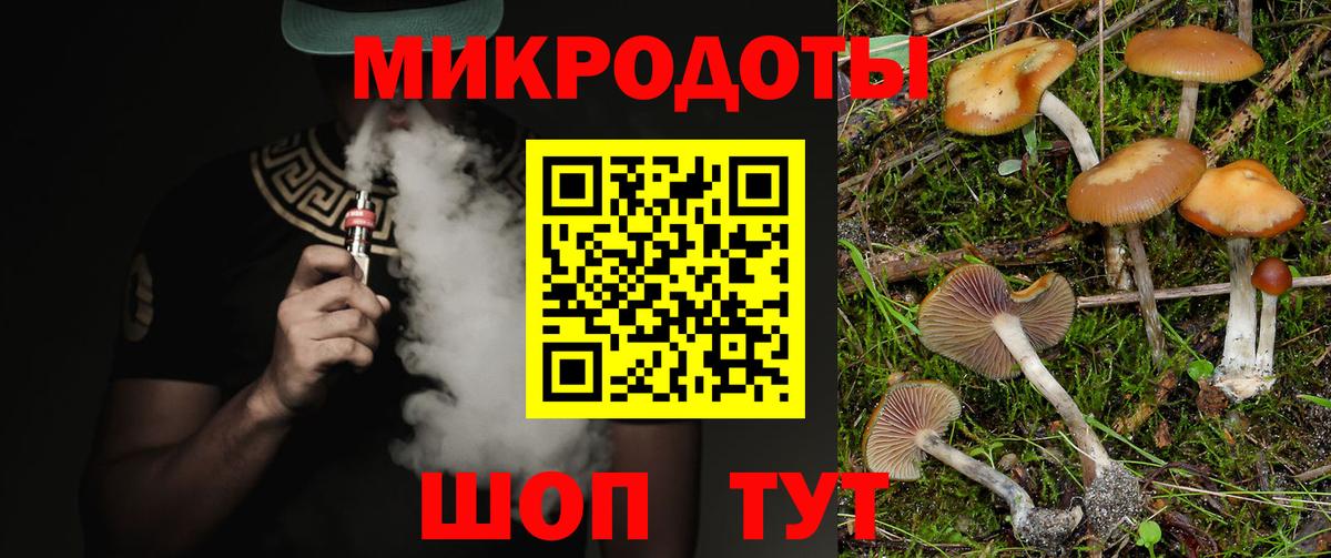Галлюциногенные грибы прущие грибы Новодвинск